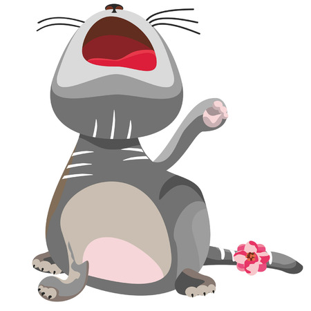 Cat springのイラスト素材