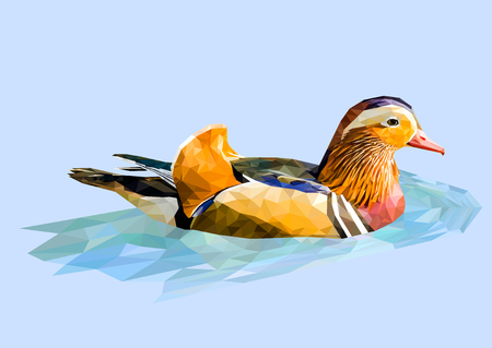 Isolated swimming mandarin duck. Vector illustration.のイラスト素材