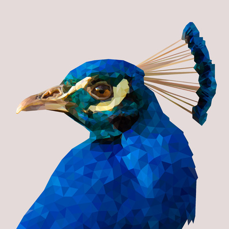 Portrait of a peacock. Vector illustration.のイラスト素材