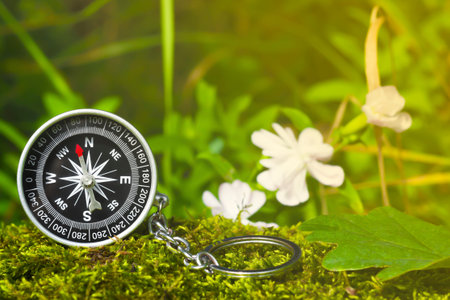 Compass on the moss in the forest with sunlightの写真素材