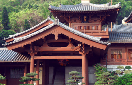 Chinese Chi Lin Nunnery Roof Details