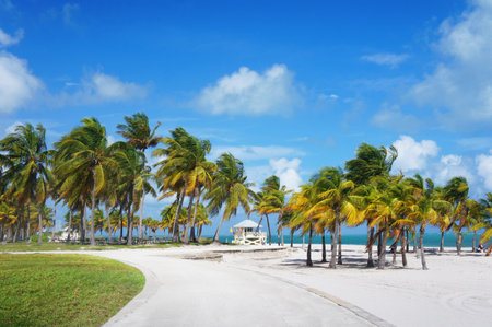 Boardwalk in the Crandon park Beach, Miami, USAの写真素材