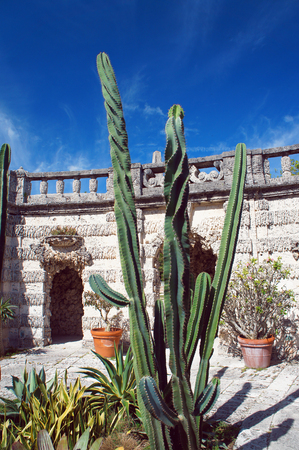 Cactus of Villa Vizcaya Gardens, Miami, Floridaのeditorial素材