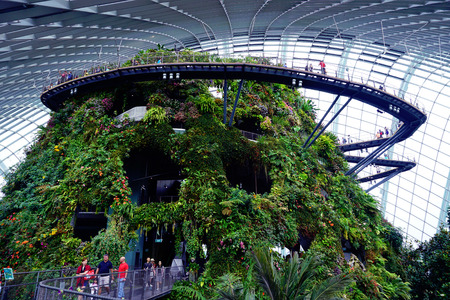 Gardens by the Bay Cloud forest pavillionのeditorial素材
