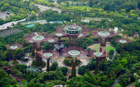 Supergrove trees in Gardens By the Bayのeditorial素材