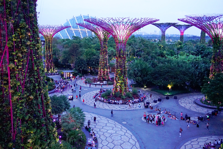 Evening supergrove trees in Gardens By the Bayのeditorial素材