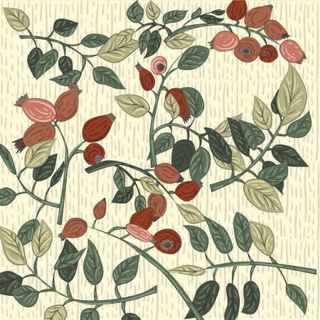 vector color pattern with rose hip fruits and leavesのイラスト素材