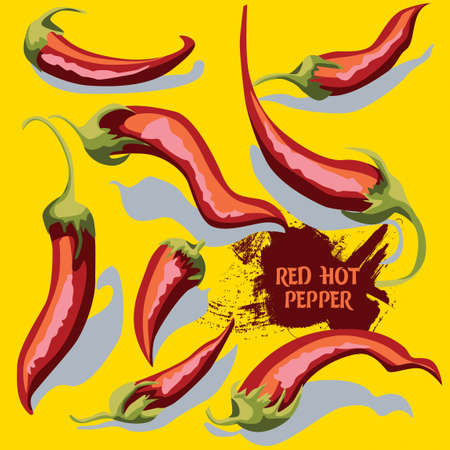 Vector pattern with hot red chili peppersのイラスト素材