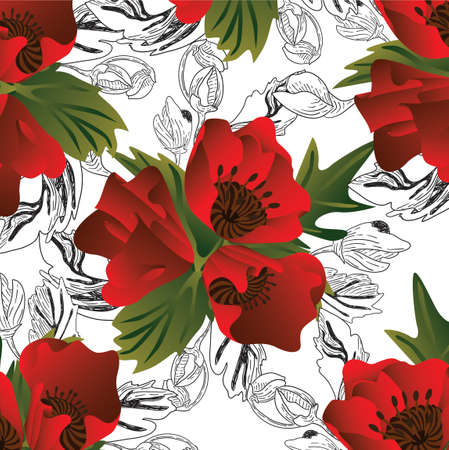 Vector color black and white pattern with poppy flowersのイラスト素材