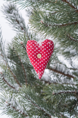 Red heartの写真素材