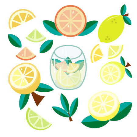 Citrus set. Orange, lemon, lime and grapefruit and a refreshing drink. Vector flat illustration.のイラスト素材