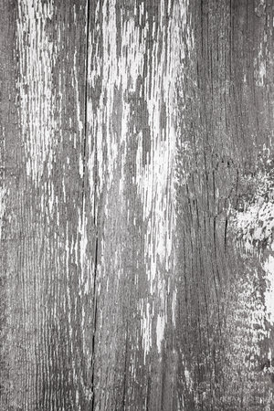 Background of an old wooden wall from pine boards with knots and cracks, with remnants of old white paint, vertical, close-upの写真素材
