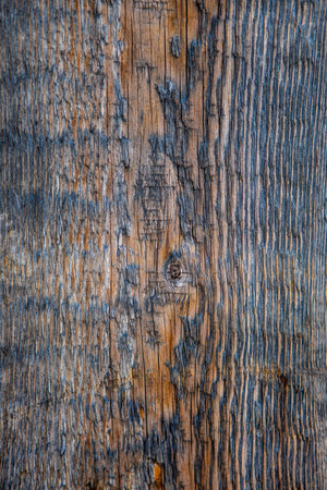 Background of an old wooden wall from pine boards with knots and cracks, with remnants of old blue paint, vertical, close-upの写真素材