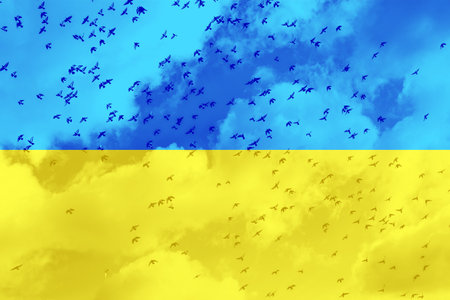 Scattering of flying birds against the cloudy sky of blue-yellow colors of the Ukrainian flag, horizontal, copyspaceの写真素材