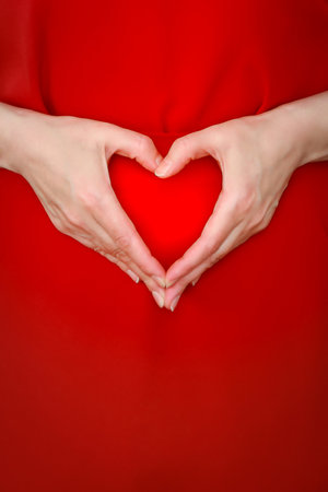 A woman in a red dress depicts with her hands a symbolic figure of the heart at the level of the abdomen, vertically, copyspace, closeupの写真素材