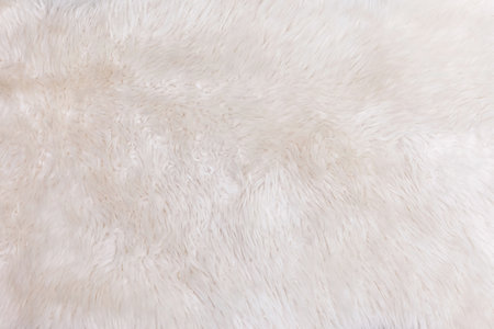 White wool texture background, white natural sheep wool, beige fluffy fur, white carpet fragment, unusual factory fabric material, close-up, flat layの写真素材