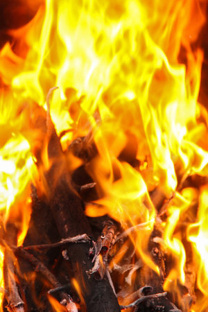 Tongues of burning yellow-orange flames on wood, bonfire, vertical, close-up