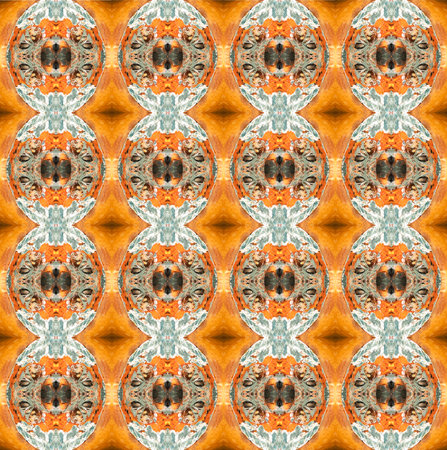 Geometric symmetric fractal abstract seamless pattern, multicolor contrasting background, square, orange moldy cut in half pumpkinの写真素材