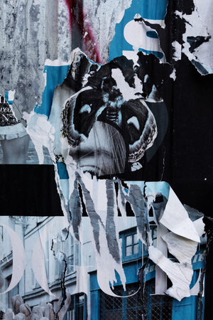 A torn blue and white paper collage with a butterfly wings in the center. The butterfly wings are...