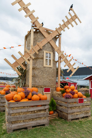 A rustic windmill model made of hay with pumpkins in wooden crates displayed in front of it. The windmill has a round body and four large blades. The pumpkins are of various sizes and colors.の写真素材