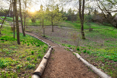 A park trail surrounded by greenery, dappled sunlight shining through the trees. The wood path has a natural feel.の写真素材