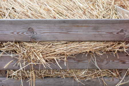 Rustic wooden crate with loose hay on white background. Rough-hewn wood, rectangular shape. Light...