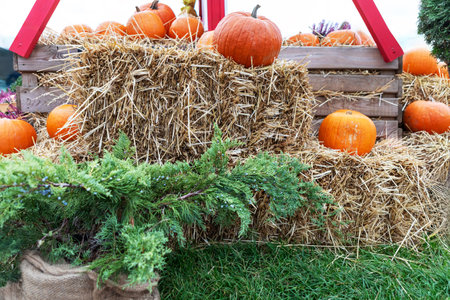 A charming fall scene with a straw bale, green plant, and wooden crate filled with pumpkins in different sizes and shades of orange, creating a cozy autumn vibe for seasonal decor.の写真素材
