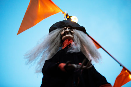This image shows a wrinkled old pirate with white hair and a black hat. She has a long crooked nose and green skin. She is wearing a black dress. The background is sky blue.の写真素材
