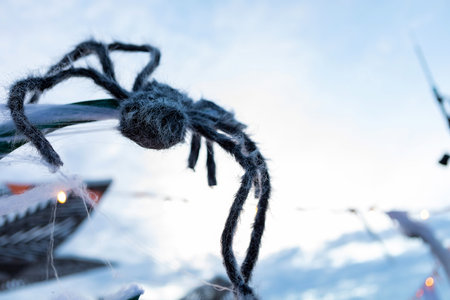 A large black spider with long hairy legs hanging on a string against a blurred background. This decorative item resembles a real spider and adds a touch of spookiness to any Halloween display.の写真素材