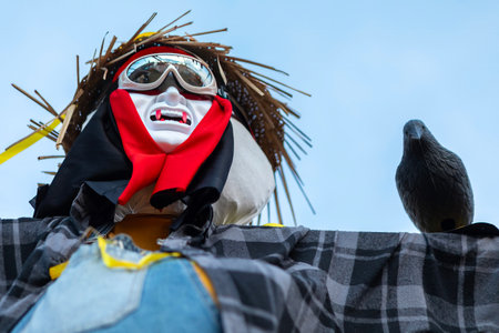 Scarecrow in red scarf, straw hat, ski goggles, plaid shirt, with black crow on arm. Face in field, symbolizing autumn and Halloween harvest decorations.の写真素材