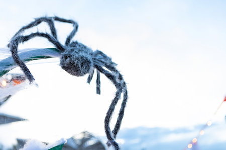 This stock image shows a black hairy spider hanging on a white string with a blurred background. Use it for Halloween concepts, arachnophobia, or as a metaphor in your creative projects.の写真素材