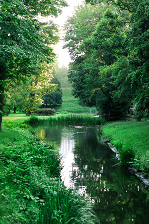 The river is calm and, and the trees are tall and lush. The park is well-maintained and visitors can sit and enjoy the scenery.の写真素材