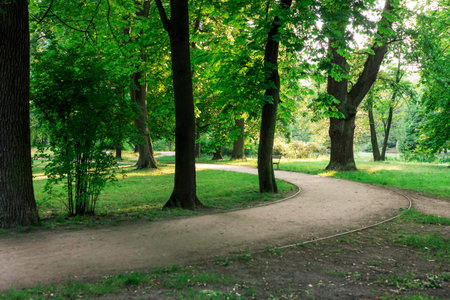 A beautiful park with a winding path leading through lush green trees and a manicured lawn. The park...
