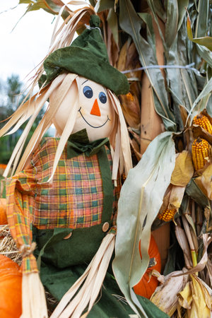 A scarecrow stands in a corn field on a fall day. The scarecrow is wearing a plaid shirt, green pants, and a hat. It has a friendly smile on its face. The corn is tall and dry.の写真素材