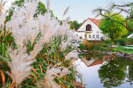 Vibrant tall grasses frame a serene pond reflecting a charming building . The scene is peaceful, showcasing nature's beauty alongside architectural design.の写真素材
