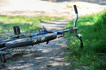 A blue child's bike with a front basket, left abandoned on its side on a dirt path beside lush green...
