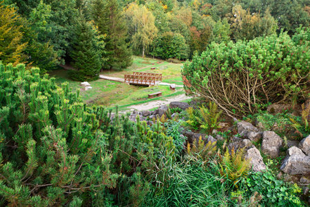 A peaceful park filled with vibrant trees and well-maintained shrubs. A wooden bridge spans a small pathway, inviting visitors to enjoy the natural beauty during golden hour.の写真素材