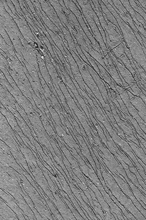 Natural lines and patterns emerge on wet sand along the shoreline during low tide, showcasing the...
