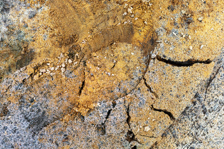 The surface of a ground reveals intricate patterns of cracks and grains, highlighting earthy tones. This close-up captures the natural textures formed over time in a rugged outdoor environment.の写真素材