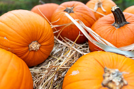 A detailed close-up of a pile of pumpkins on hay, showcasing their shades of orange and diverse...