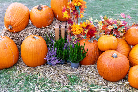 A charming rustic autumn still life showcasing a bountiful harvest of pumpkins and gourds nestled on...