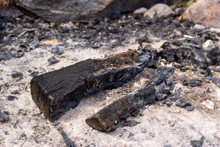 Charred pieces of wood lie scattered on the ground at a campsite. The surrounding area has ashes and rocky surfaces, suggesting a recent fire in a natural setting.の写真素材