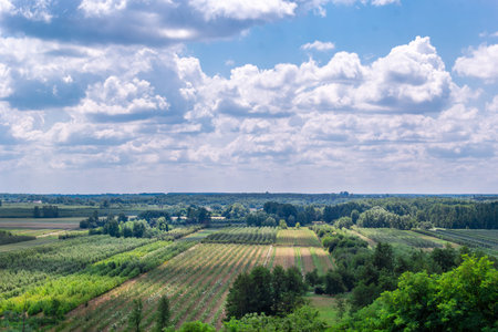 Green fields and rows of trees cover a large area under a bright sky filled with clouds. The...
