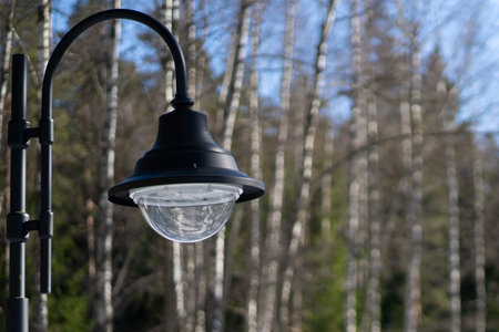 the lamppost in the Park