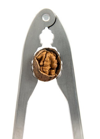 Nippers for splitting of walnuts on the isolad background