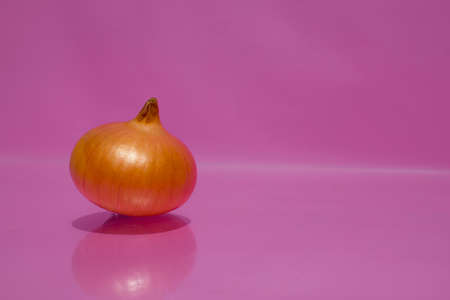 The orange head of the onion lies on a pink background.の写真素材