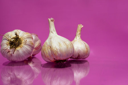 Four heads of garlic lie on a purple background.