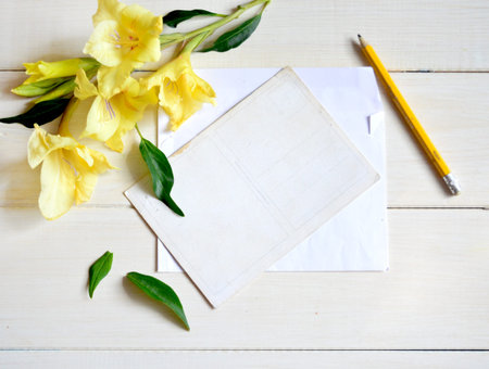 Yellow gladiolus and card with pencil on withe background