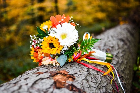 Close up of colorful wedding bouquet on tree autumn in forest.の写真素材