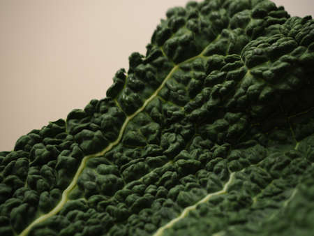 Texture of kale leaf cabbage on white background.の写真素材